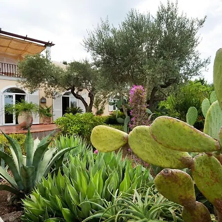 Villa With Pool&5000 Mq&private Garden In Capri Anacapri (Isola di Capri)