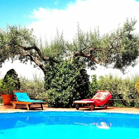 With Pool&5000 Mq&private Garden In Capri Villa Anacapri (Isola di Capri)