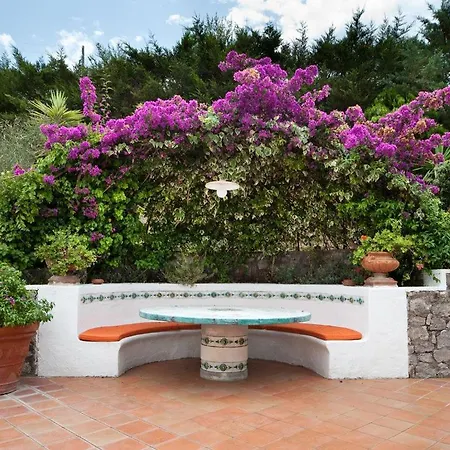 Villa With Pool&5000 Mq&private Garden In Capri *