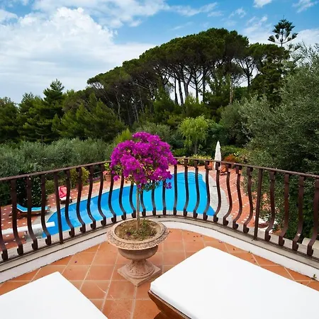 Villa With Pool&5000 Mq&private Garden In Capri Anacapri (Isola di Capri)